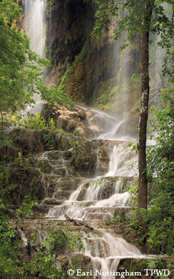 Gorman Falls