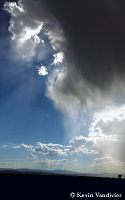 Summer Storm