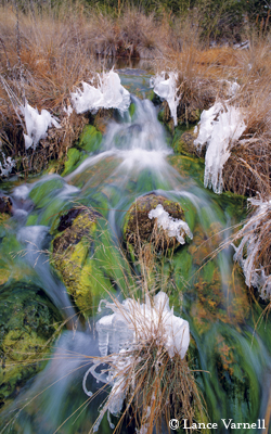 Colorado Bend State Park, Winter