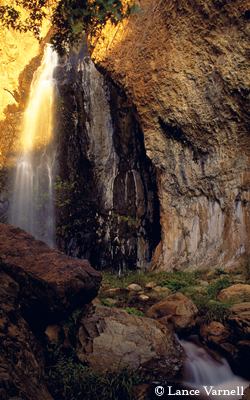 Cattail Falls, Big Bend National Park, Spring