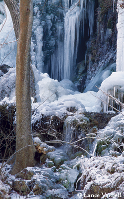 Gorman Falls, Colorado Bend State Park, Winter