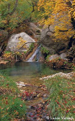 Smith Spring, Guadalupe Mountains National Park, Autumn