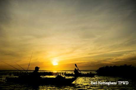 Photo by