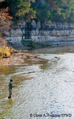 fly fish