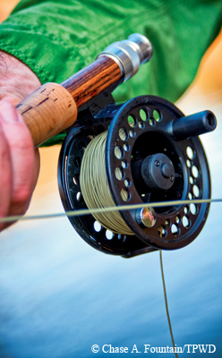 fly-fish