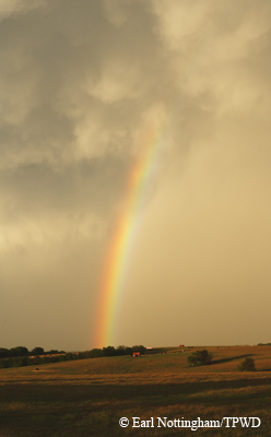 rainbow
