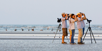 Bird watchers