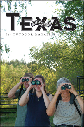Birders