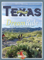 November cover image