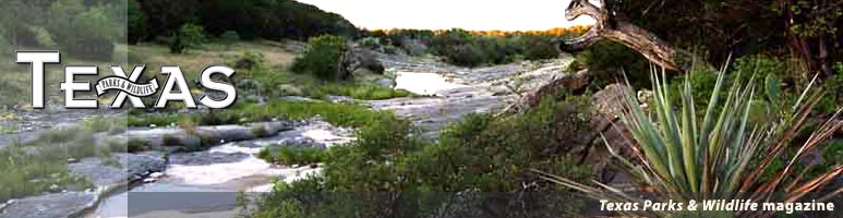 Welcome to Texas Parks & Wildlife magazine