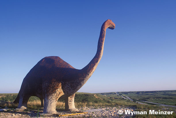 dinosaur monument
