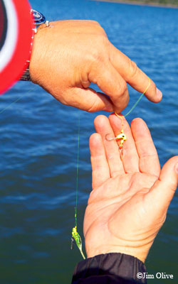 Catching the First Crappie Spawners