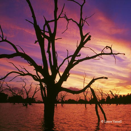 A sunset colors the sky over a Bieri Lakes fishing camp in Brazoria County.