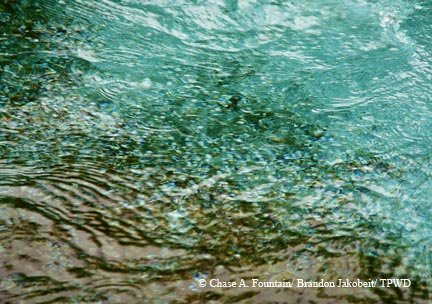 Churning water at Balmorhea State Park; shoreline at Redfish Bay near Port Aransas.