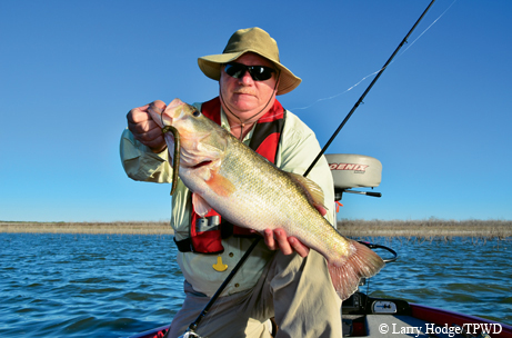 About a 6 lb bass