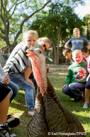 Texas Zoo
