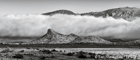 desert skies