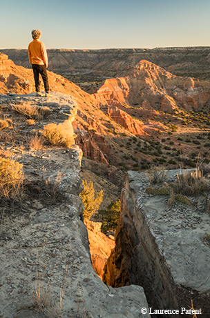 palo duro