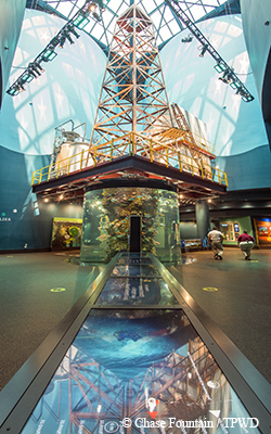 aquarium