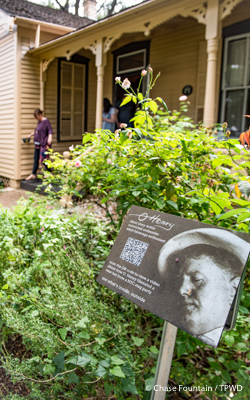 O Henry house