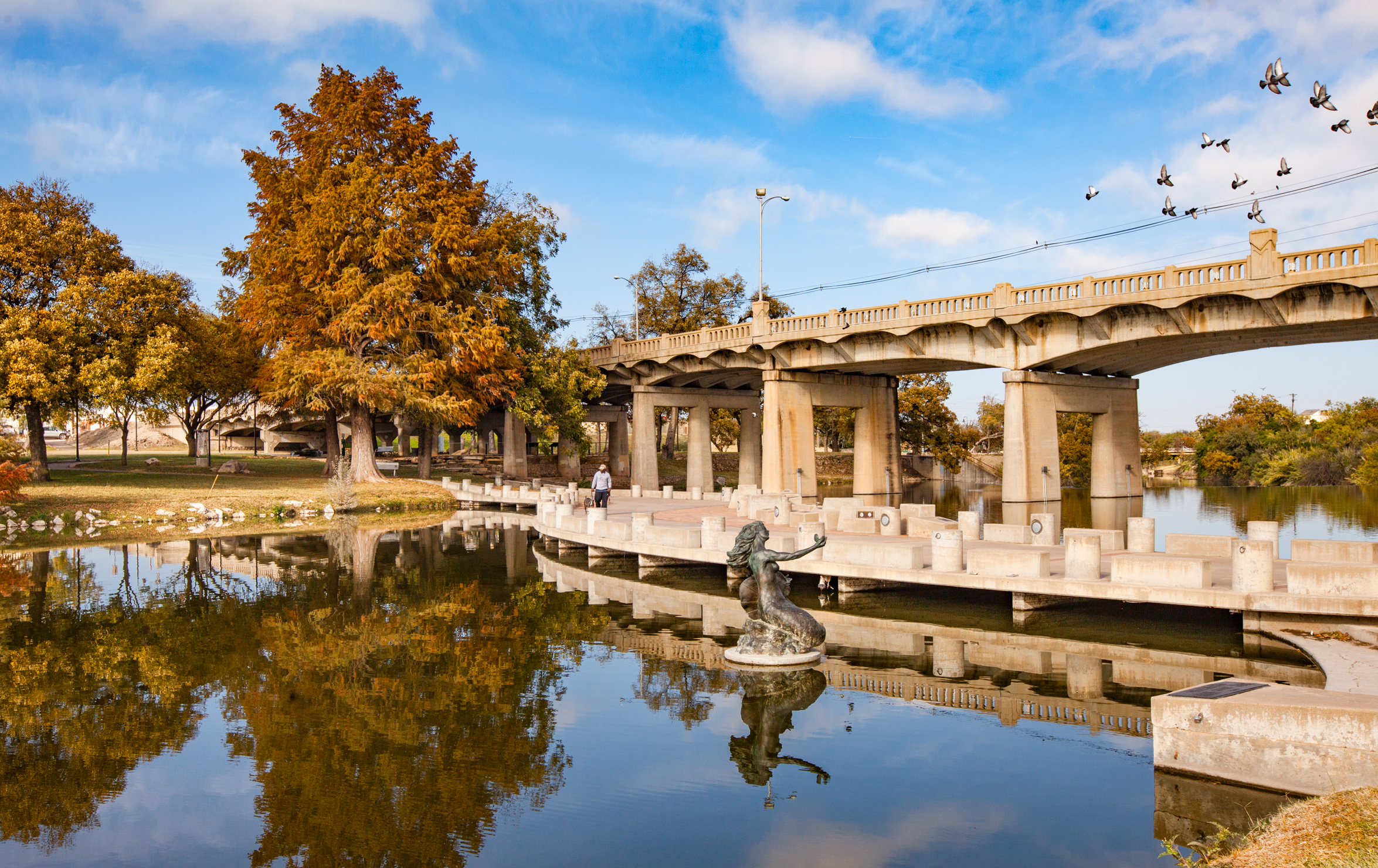 Lilies and Longhorns in San AngeloJanuaryFebruary 2019 TPW magazine