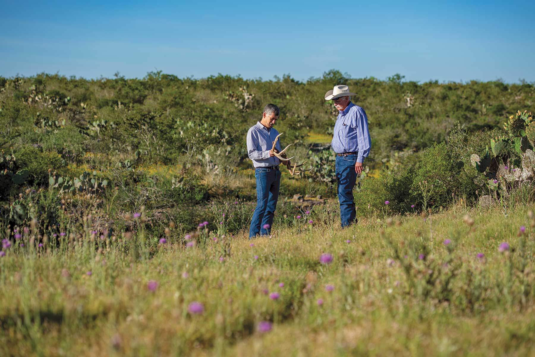 2019 Leopold Conservation Award: Killam Duval County Ranch 