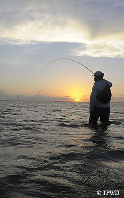 angling
