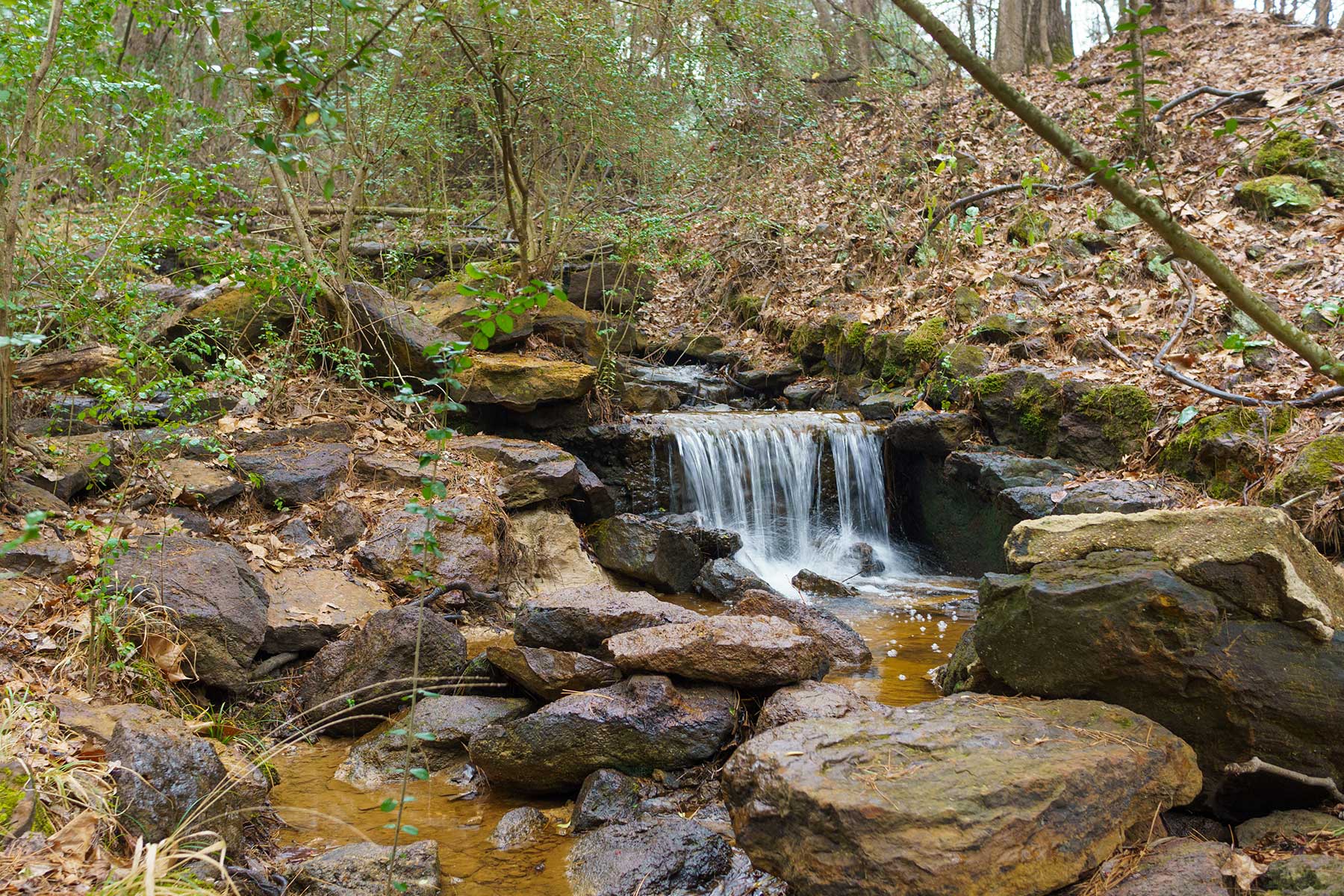 Daingerfield State Park