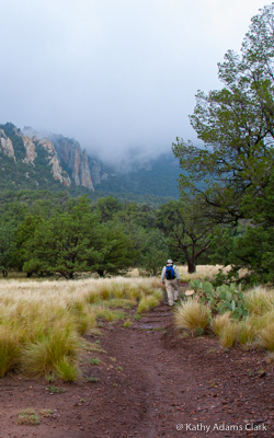 hikers