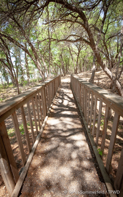 bridge