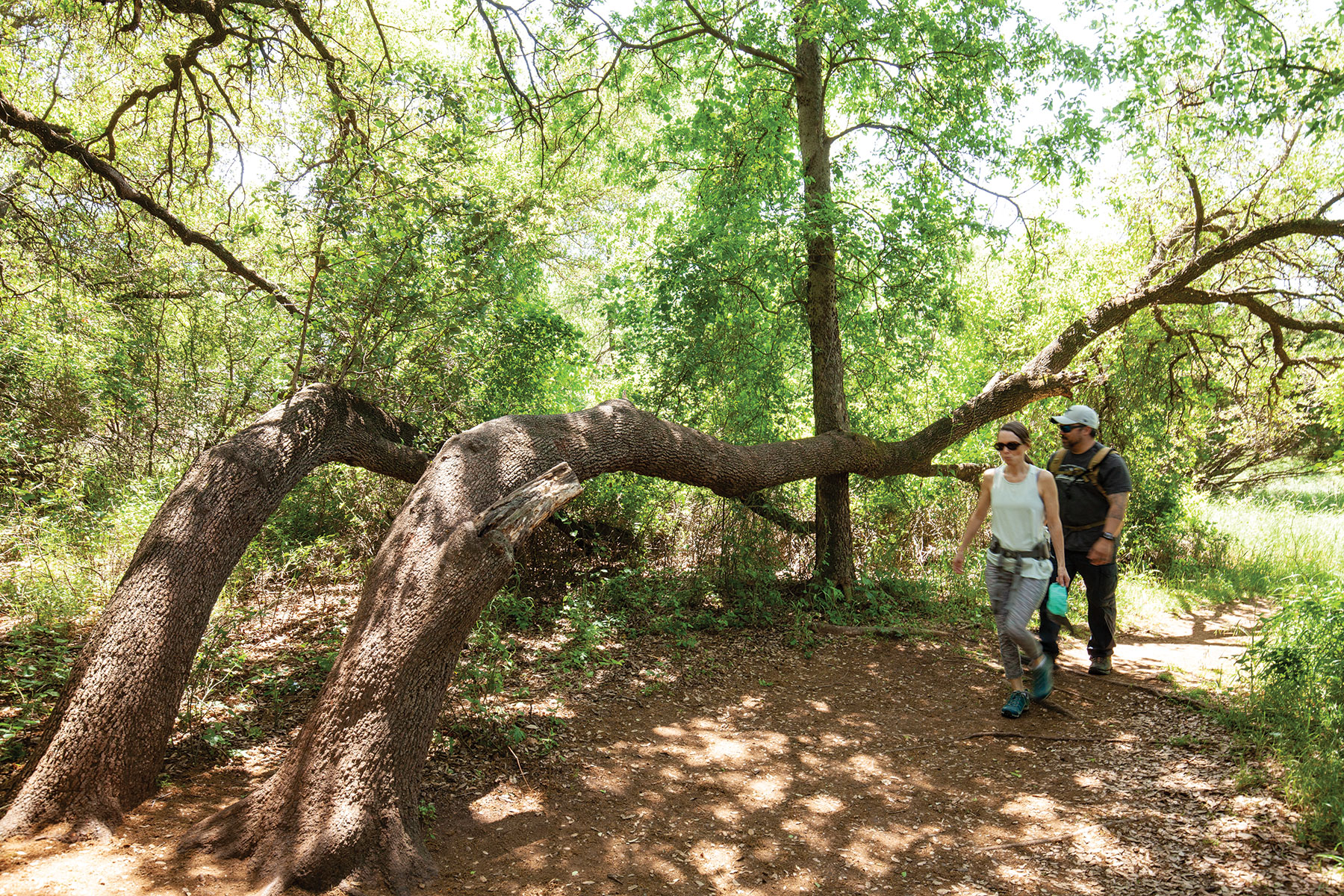Trail entrance