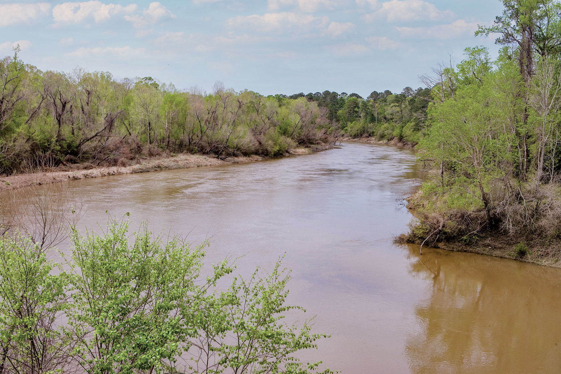Neches_East_Texas_Forests WU8E0809