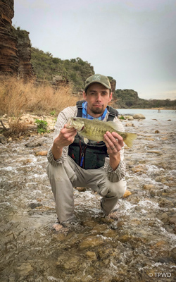 bass
