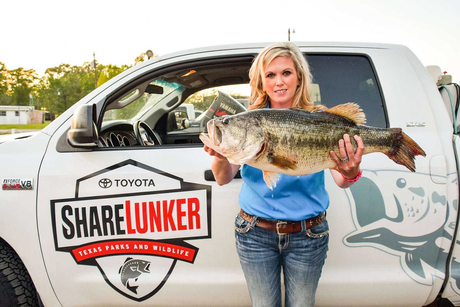 Sharelunker