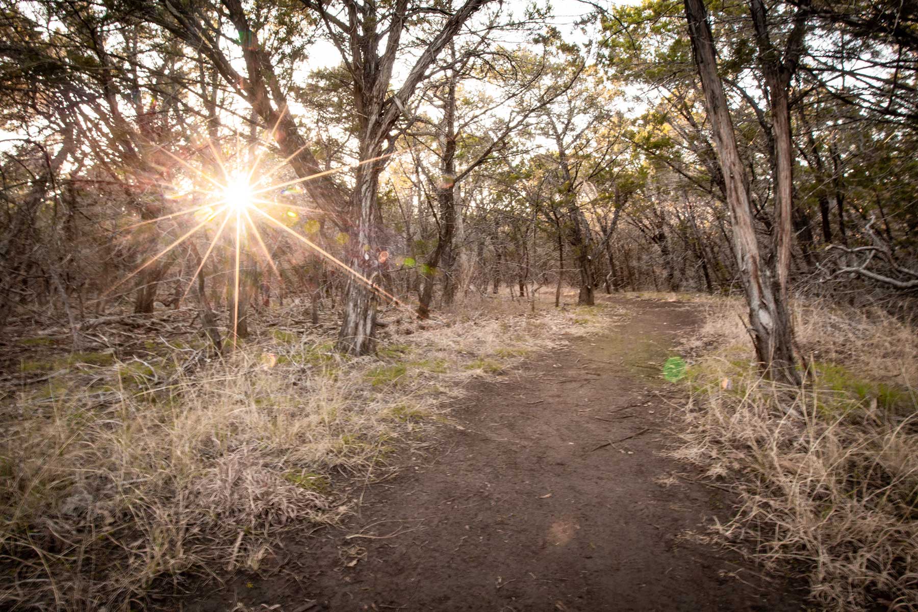 Hiking