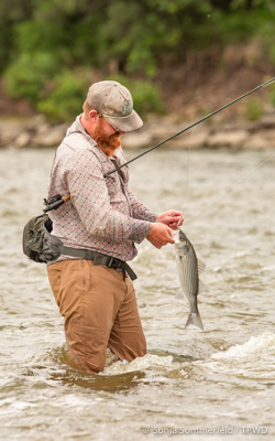catching fish