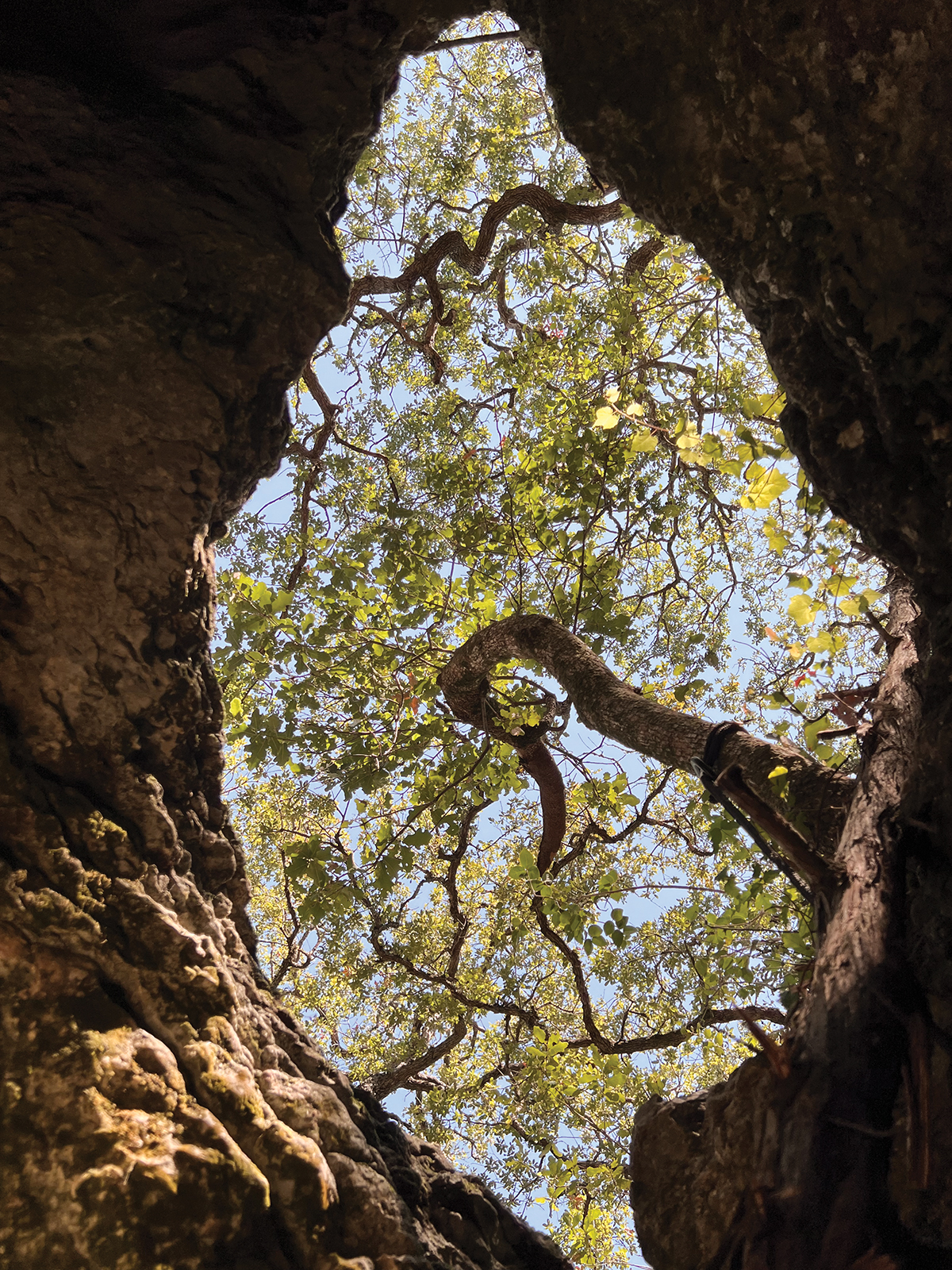 HCSNA_Caving_IMG_3205