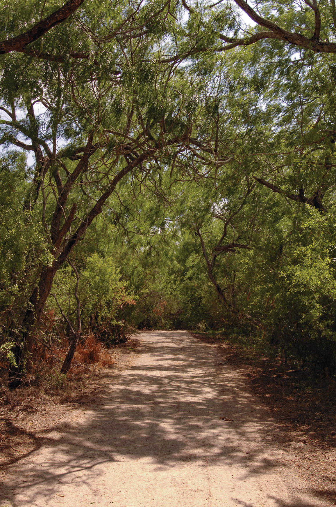 Discovery%20Trail_0073