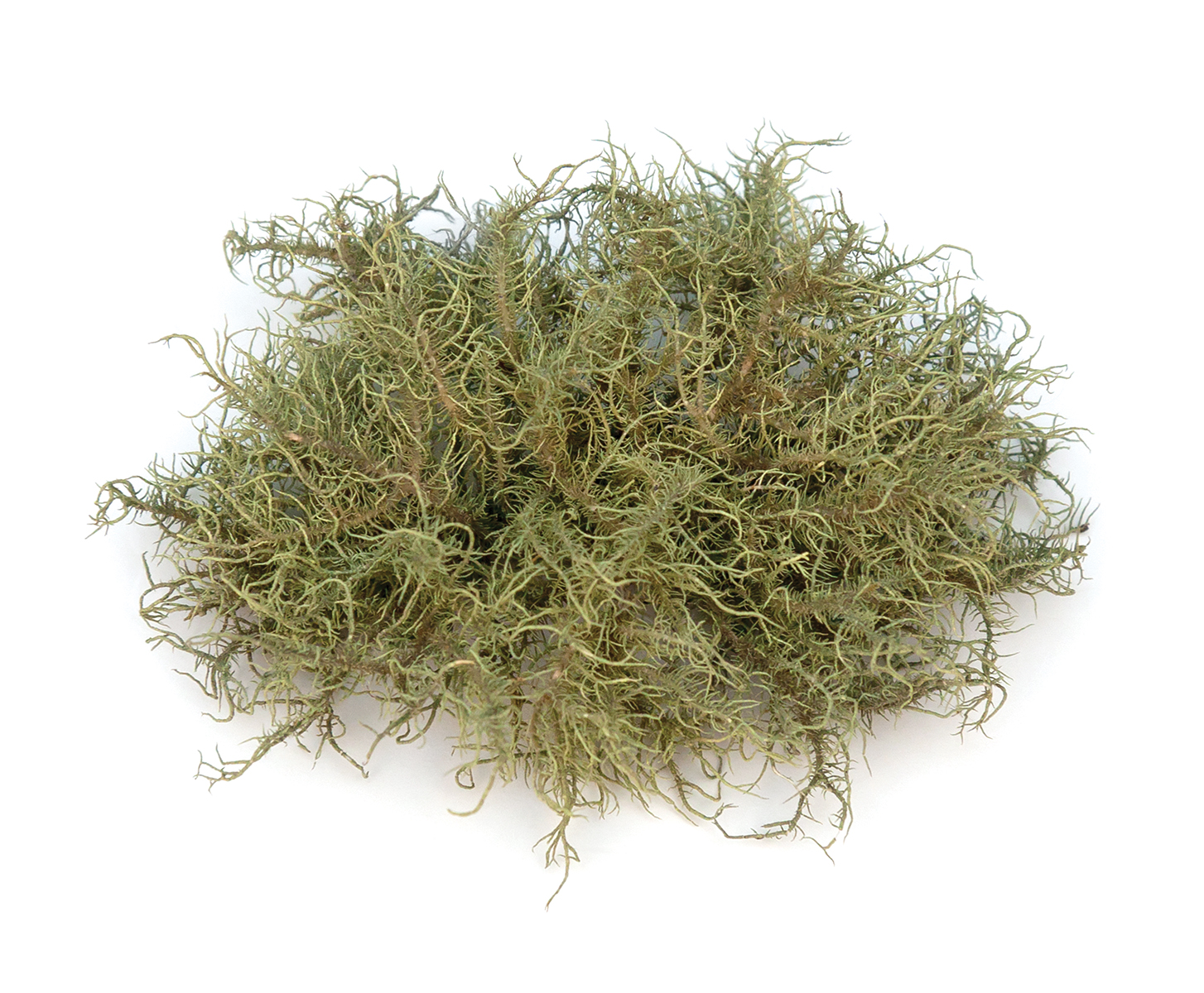 AdobeStock_266850559%20copy