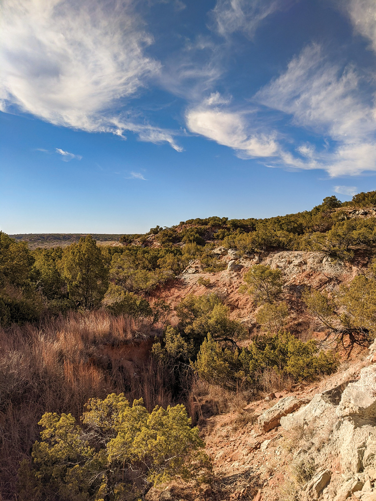 State Park EventsJune 2023 TPW magazine