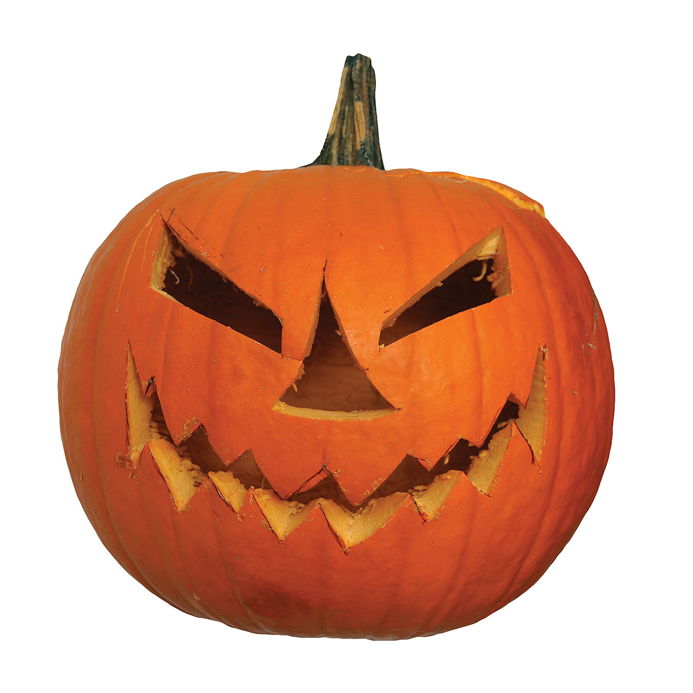 dreamstime_xxl_140090449%20copy