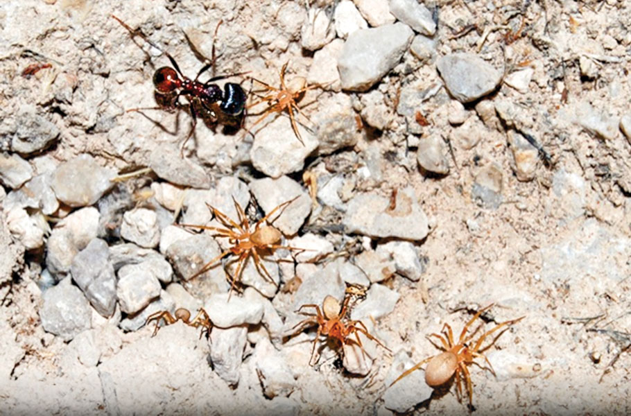 Screen%20Shot%202023 03-06%20at%2011.45.55%20AM%20%281%29