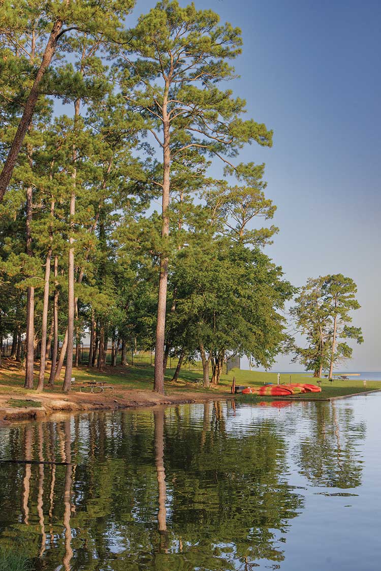Lake Livingston shore