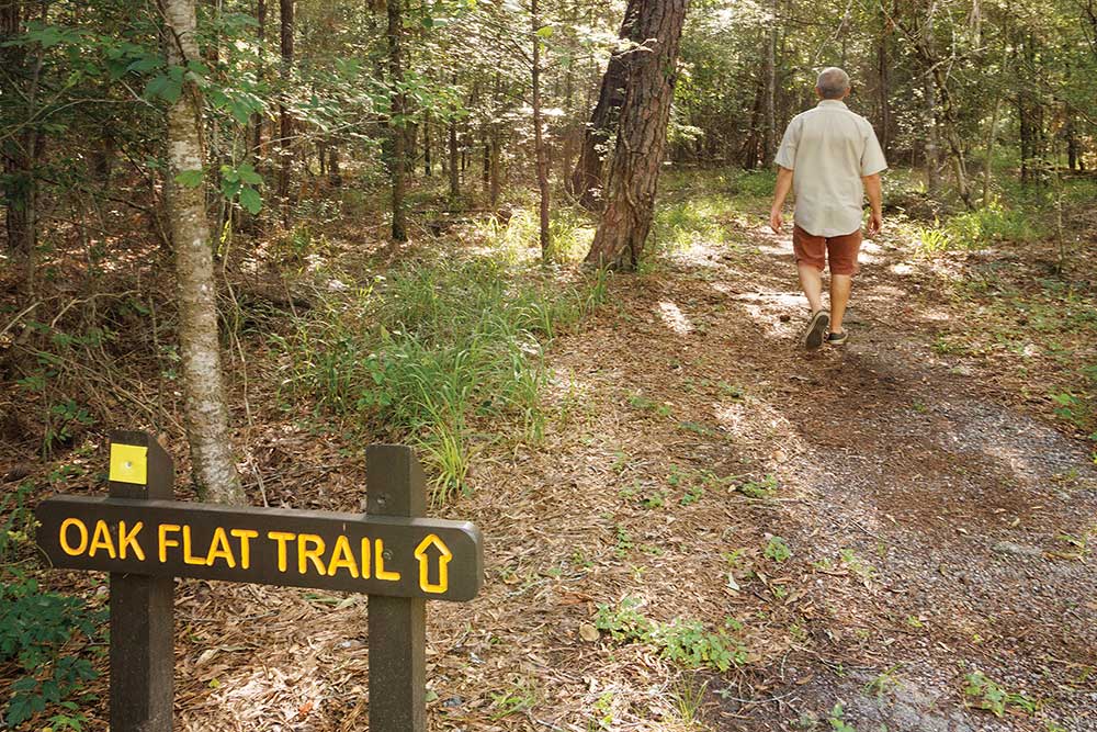 Oak Flat Trail