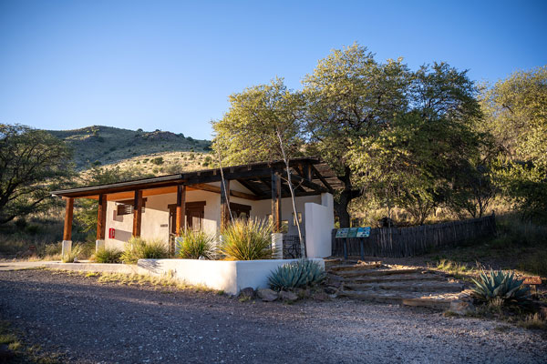 emory oak wildlife viewing area