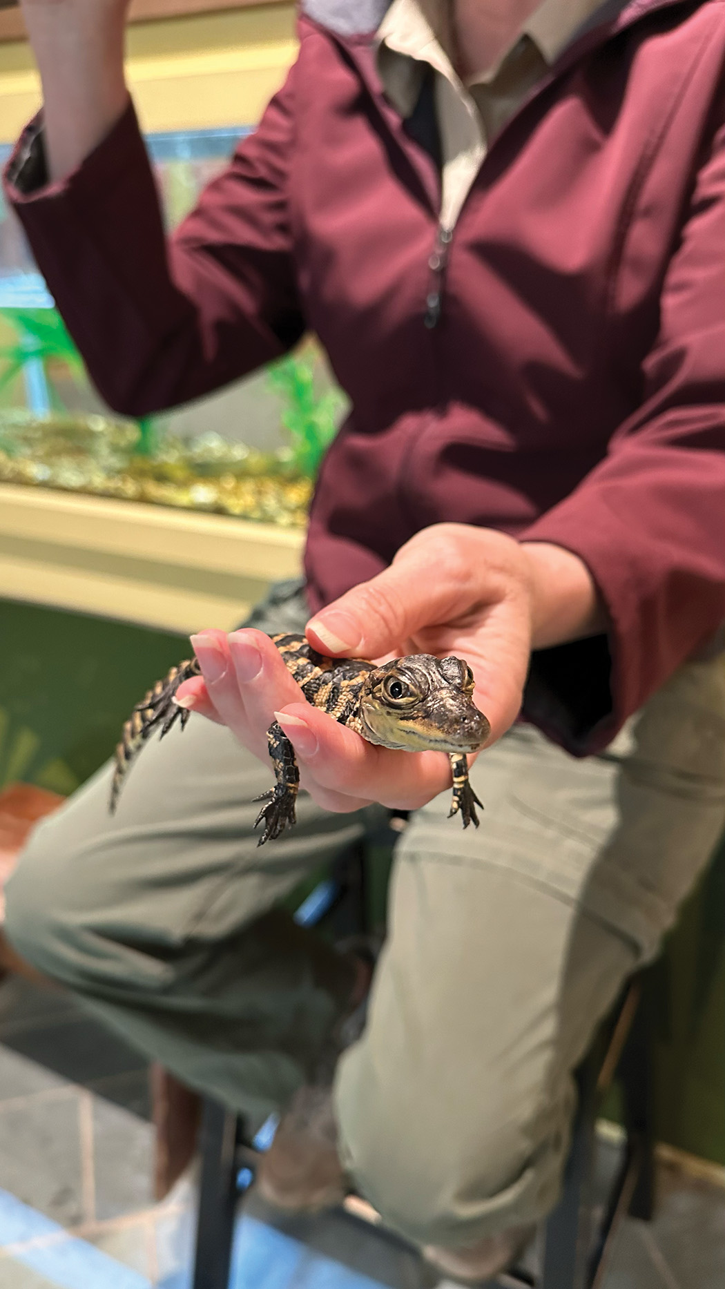 park bench at Limpia Creek vista in the Davis Mountains
