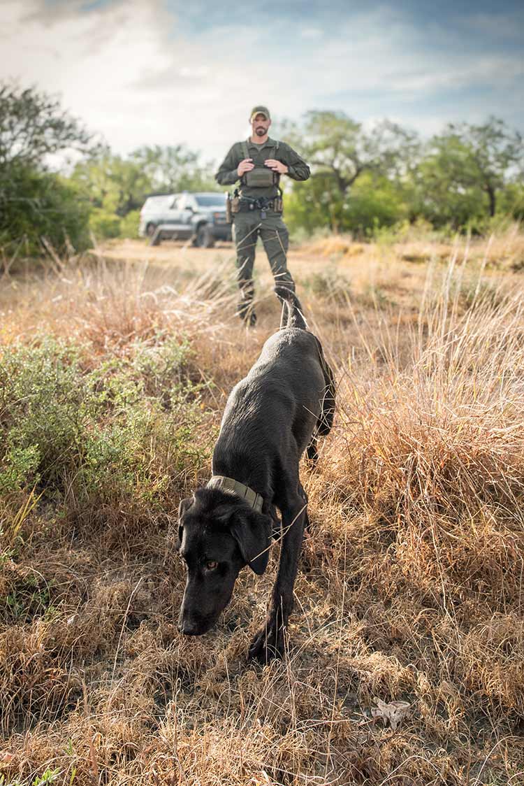 K9 sniffing excercise