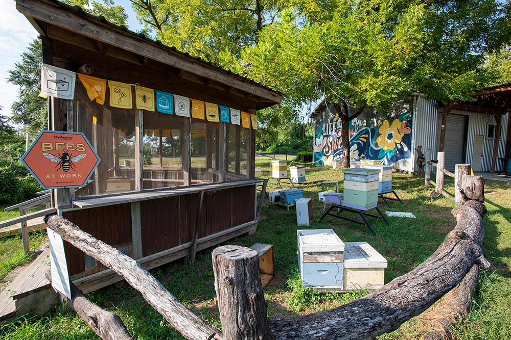 Beeweaver Honey Farm, Navasota