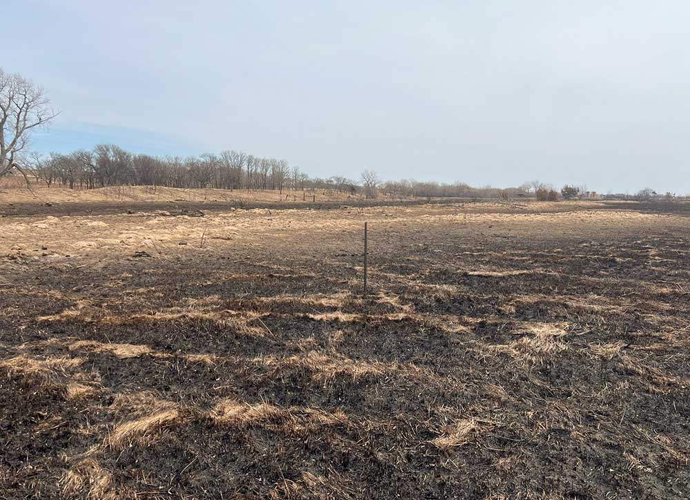 West Bul Pasture