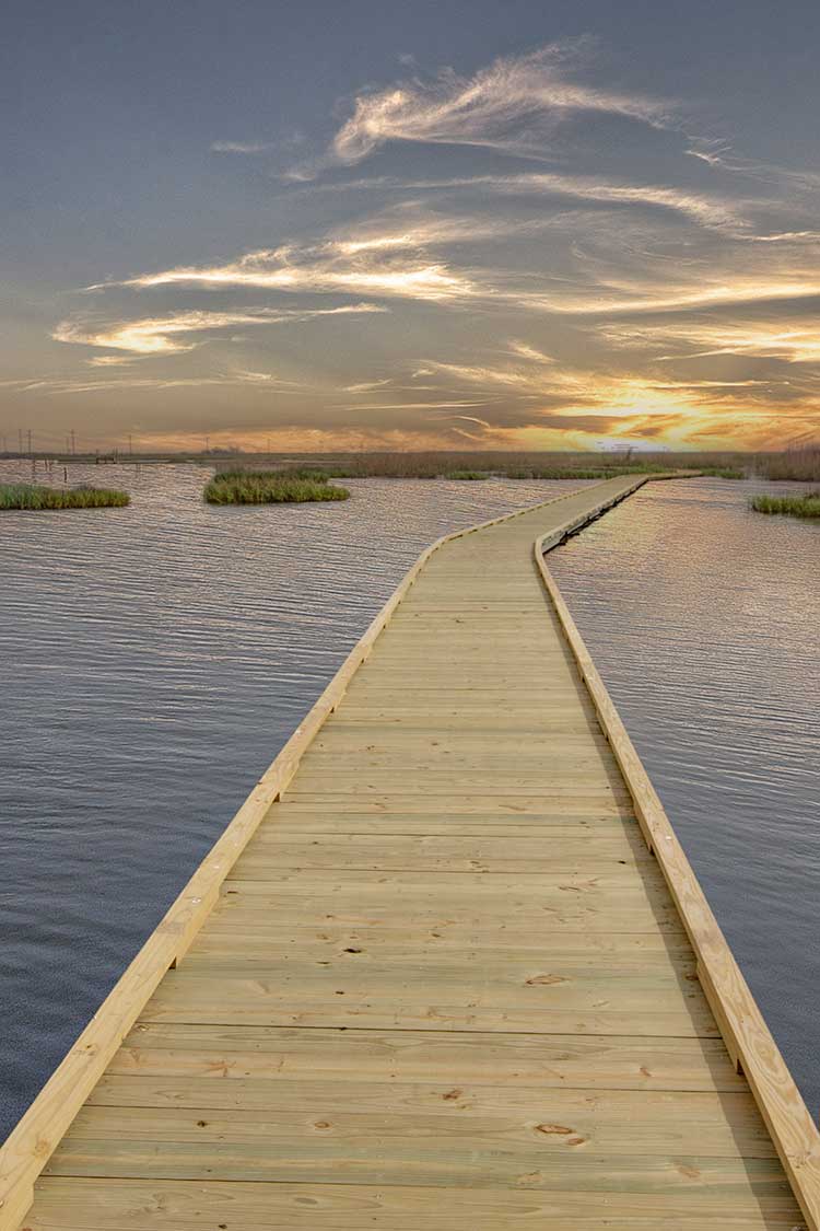Gambusia Nature Trail Boardwalk